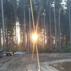 Meet your Posher, Tarah